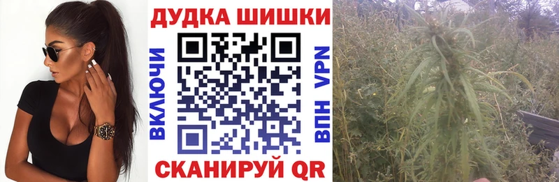 МАРИХУАНА Amnesia  даркнет какой сайт  Снежногорск 